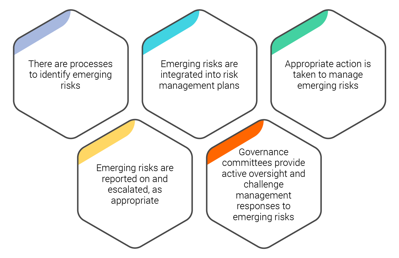 - There are processes to identify emerging risks - Emerging risks are integrated into risk management plans - Appropriate action is taken to manage emerging risks - Emerging risks are reported on and escalated, as appropriate - Governance committees provide active oversight and challenge management responses to emerging risks.