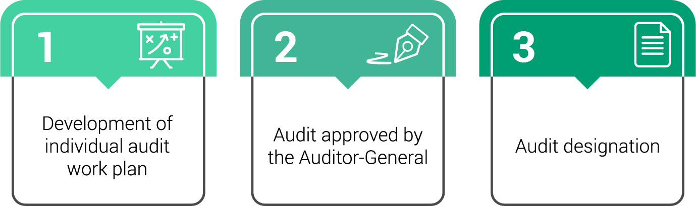 The main phases of a performance audit involve audit planning, audit fieldwork, and reporting. 