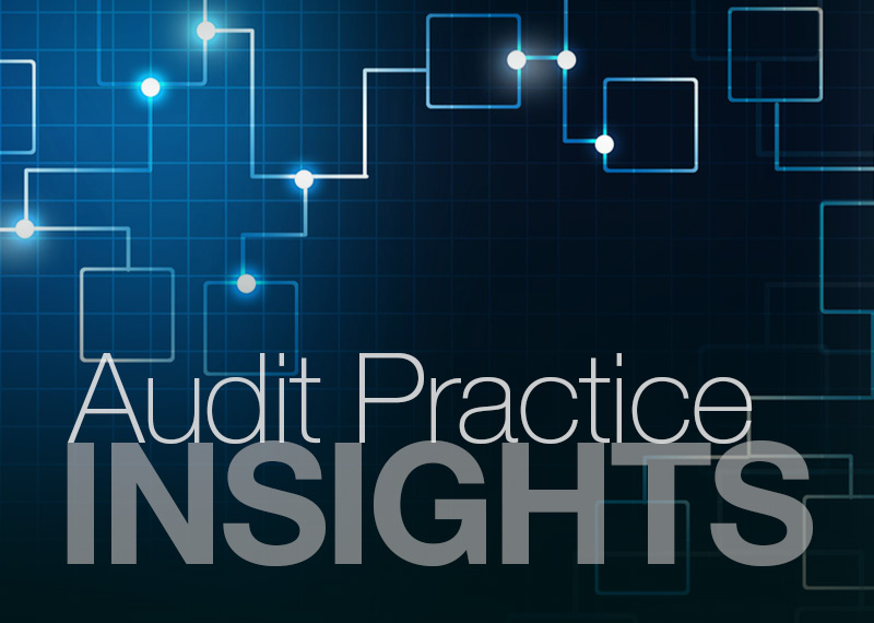 Insights: Audit Practice - Performance Audit Process