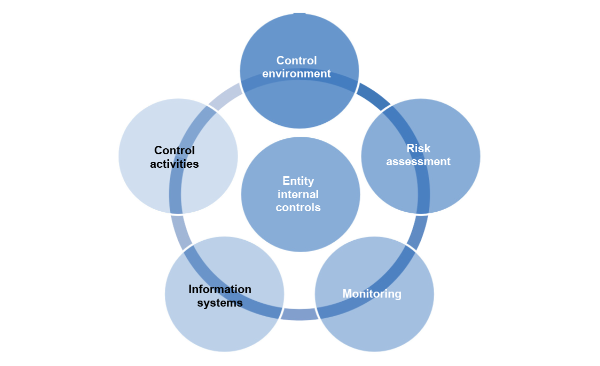 Figure 2.2: Elements of entity internal controls