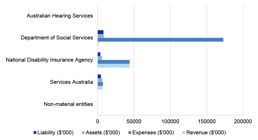 Figure 4.15.1: Social Services portfolio’s income, expenses, assets and liabilities