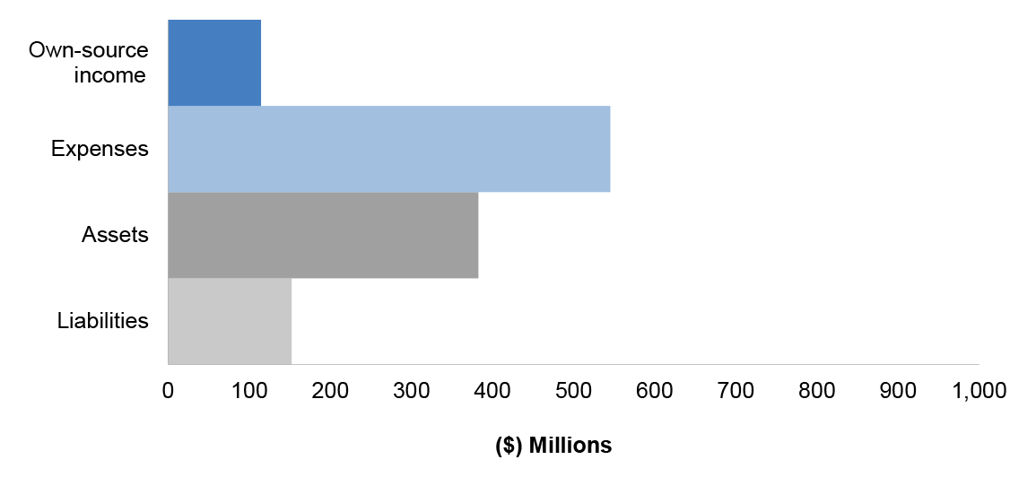 Figure 3.21.2 shows DSS’ departmental financial statements for the year ended 30 June 2017, categorised by financial statement classification of, own source income, expenses, assets and liabilities, with the key areas of financial statements risk as per T