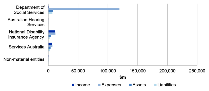 Figure 4.16.1 shows Social Services Portfolio’s income, expenses, assets and liabilities in 2018-19