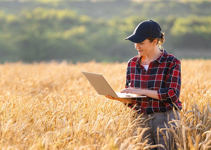 Woman farmer working with laptop on wheat field