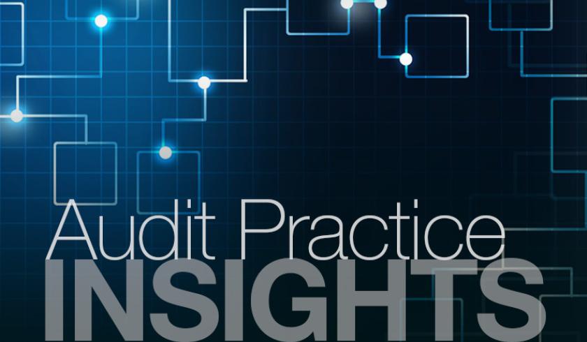 Insights: Audit Practice - Performance Audit Process